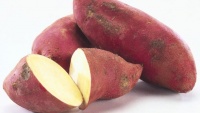 A importância da batata doce na dieta